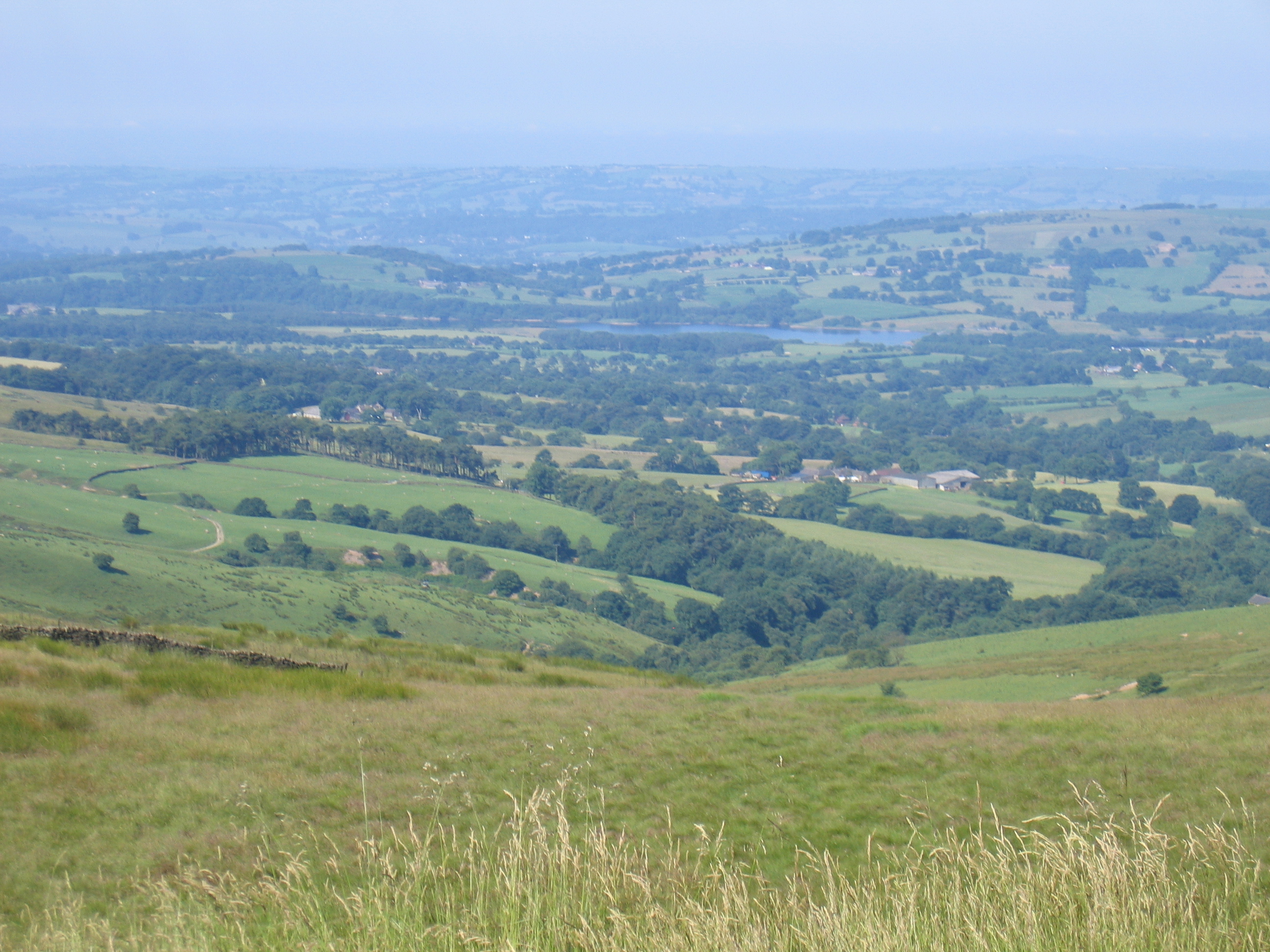 A remote landscape with grassy hills, scattered trees, and houses in the distance under a hazy sky.