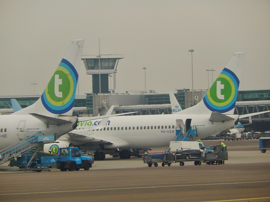 Two Transavia budget airline airplanes parked at an airport gate with ground service vehicles nearby