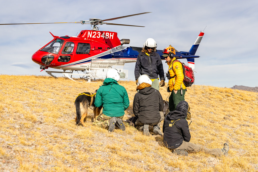 Rescue crew with helmets gathered on a dry grassy slope beside a German Shepherd dog and a red, white, and blue helicopter.